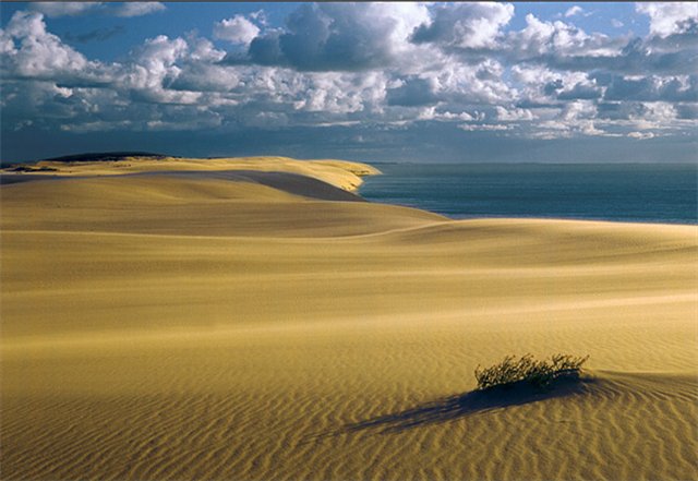 Curonian  Spit